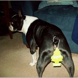 Meet your Posher, Andrew